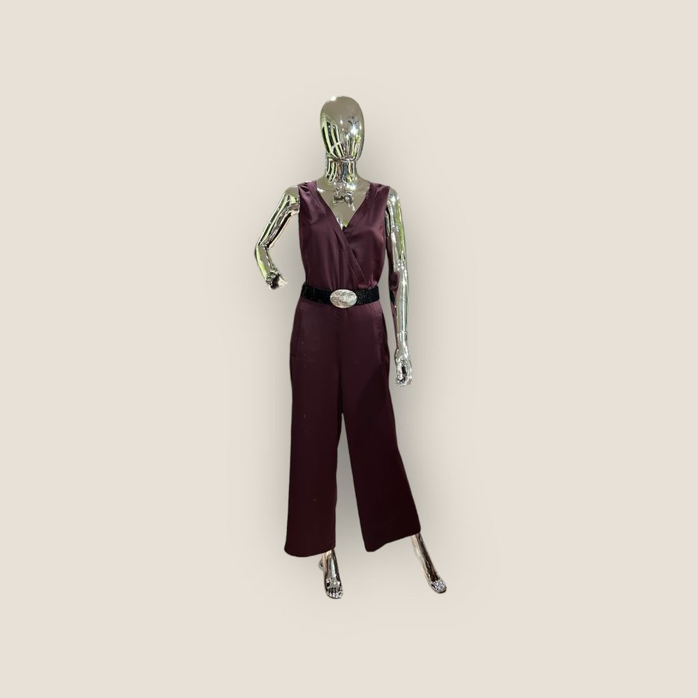Deep plum jumpsuit